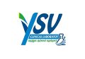 ysv-lab-logo